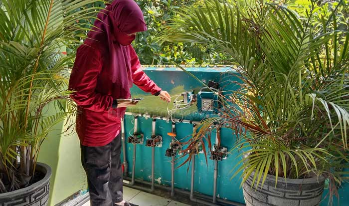 Ciptakan Smartphone Shower Plant SMP-5 untuk Siram Tanaman Via HP