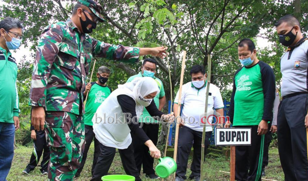 Peringati HMPI, Bupati Ajak Tanam Pohon Jaga Ekosistem Lingkungan