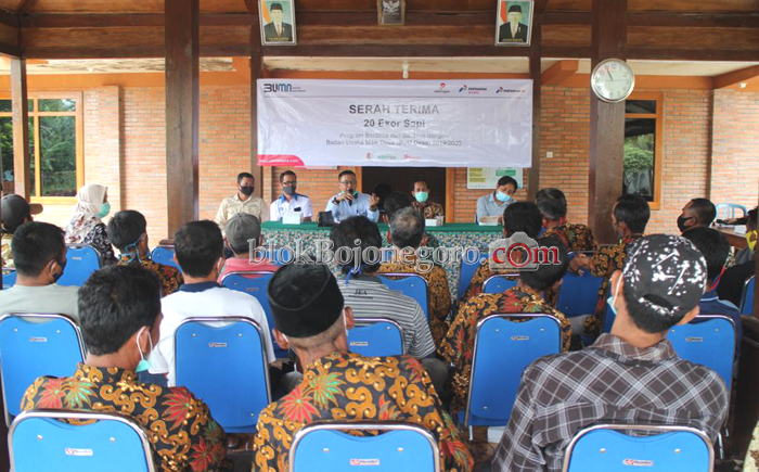 BUMDesa Pelem Mandiri Kembangkan Budidaya Sapi