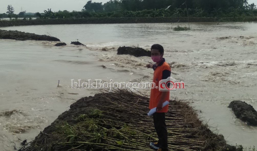 Banjir Luapan Terjang 130 KK dan Areal Persawahan di Kecamatan Kepohbaru
