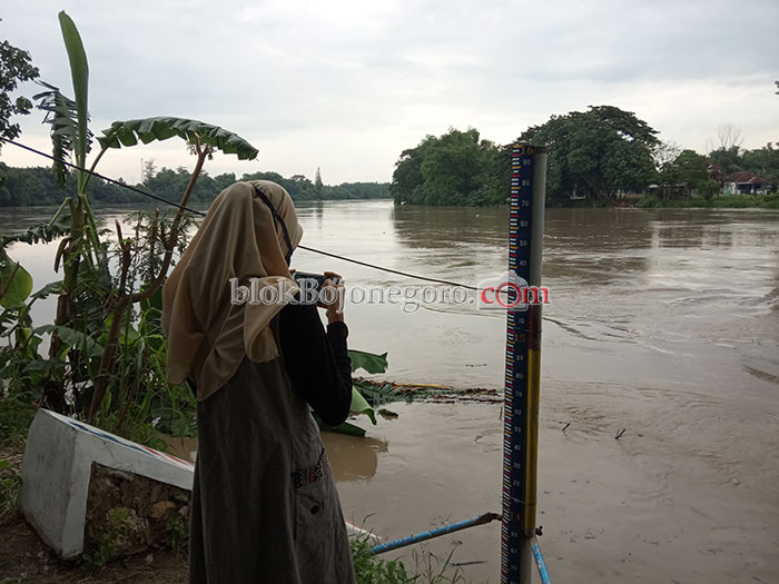 TMA Bojonegoro Naik, Bengawan Solo Naik Siaga Kuning