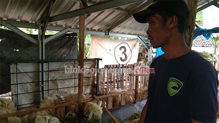 Dari Security Pilih  Jadi Peternak Kambing