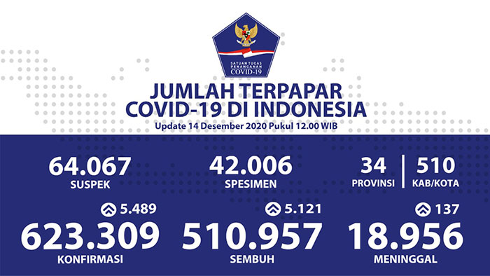 Kesembuhan Covid-19 di Indonesia Terus Bertambah Menjadi 510.957 Orang