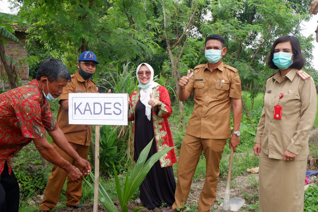 Serahkan 12 Ribu Bibit Kelapa, Farida Berharap Jadi Kekuatan Ekonomi Baru