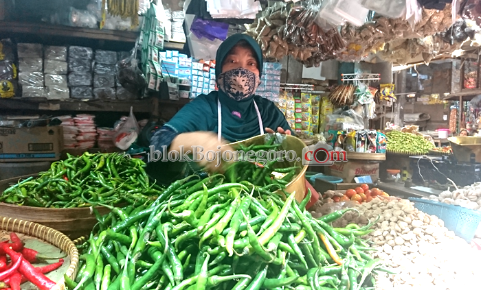 Harga Cabai Hijau Besar Terpantau Naik