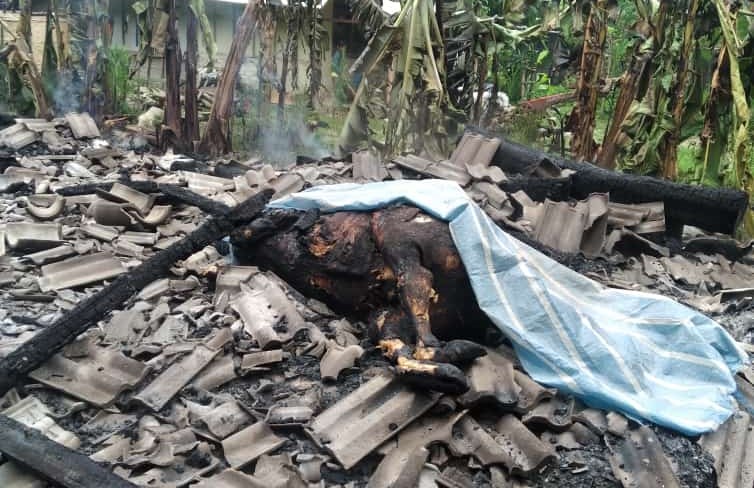 Kandang Terbakar, Sapi Warga Sugihwaras Terpanggang