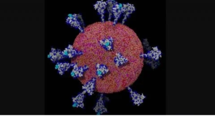 WHO Umumkan 4 Varian Baru Virus Corona
