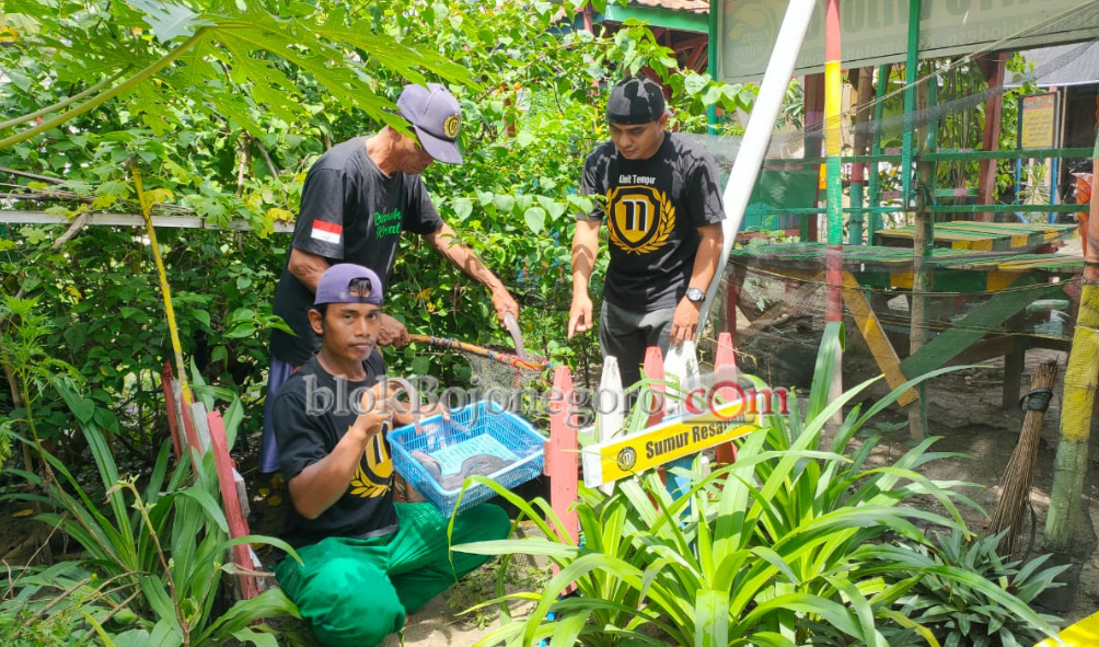 Warga Mojodeso Manfaatkan Sumur Resapan untuk Budidaya Lele
