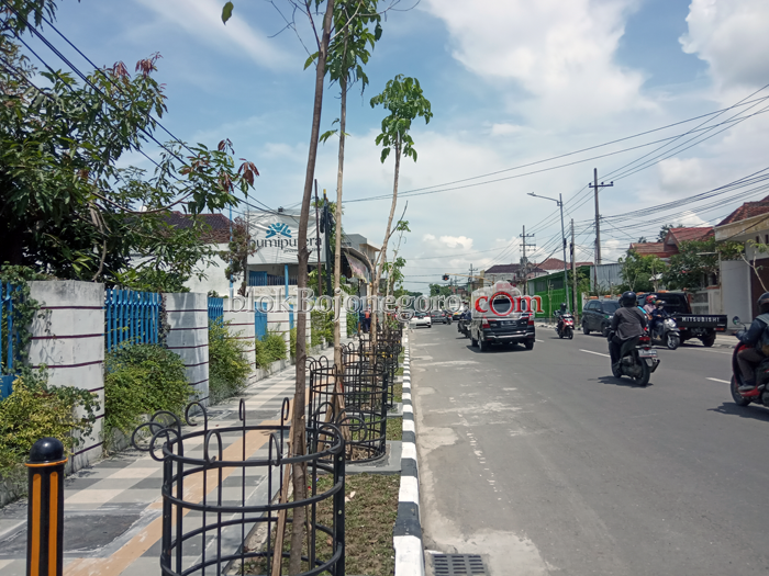 Dinas PKPCK Bojonegoro Lakukan Pemeliharaan Pohon