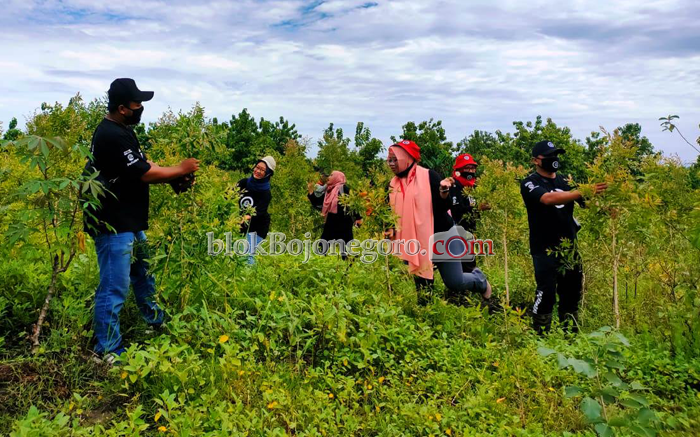 Perhutani Bersama CEC Bojonegoro Tanam Bibit Durian, Alpukat dan Kayu Putih