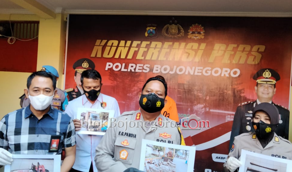 Polres Bojonegoro Amankan Pelaku Pembalakan Liar