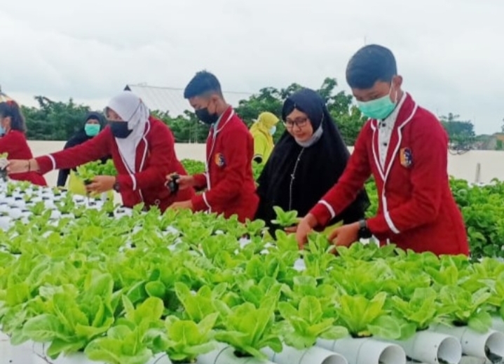 Sukses, SMPN 2 Bojonegoro Berinovasi Tanam Hidroponik
