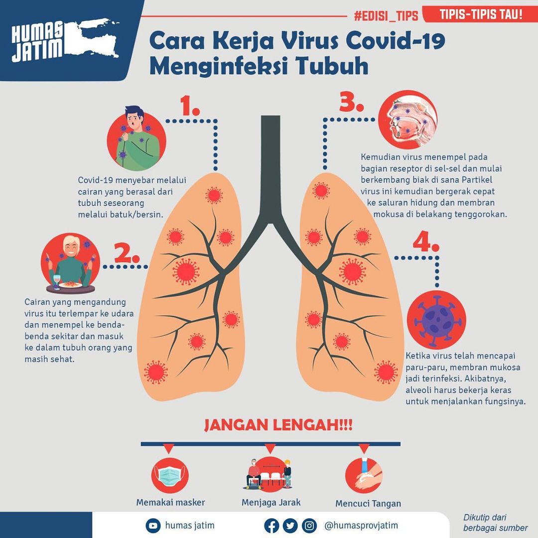 Cara Kerja Covid-19 Menginfeksi Tubuh
