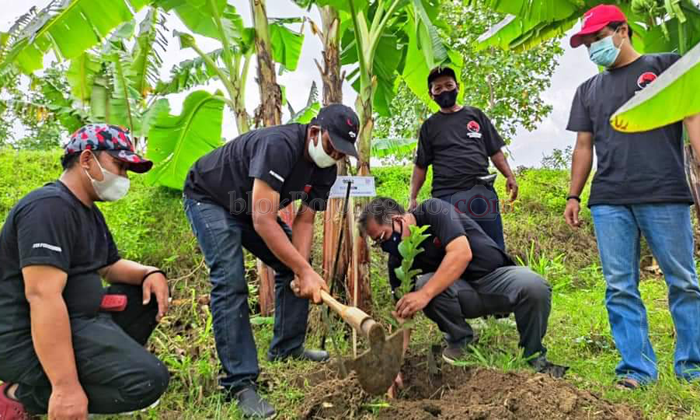 Jaga Alam, DPC PDI Perjuangan Tanam Ribuan Pohon di 14 Kecamatan DAS Bengawan Solo