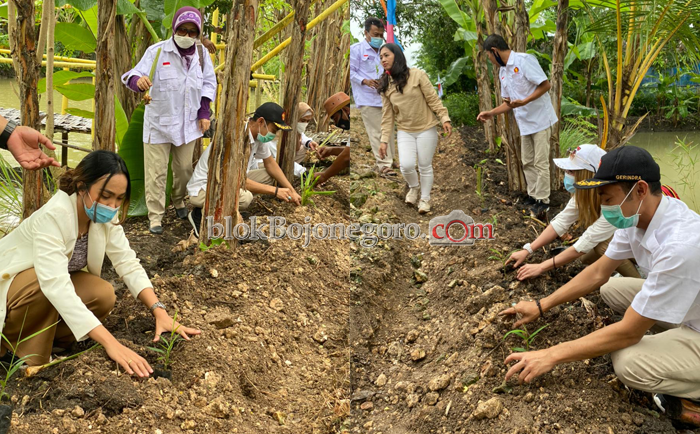 Semarak HUT Ke-13, Gerindra Bojonegoro Launching Progran Menanam