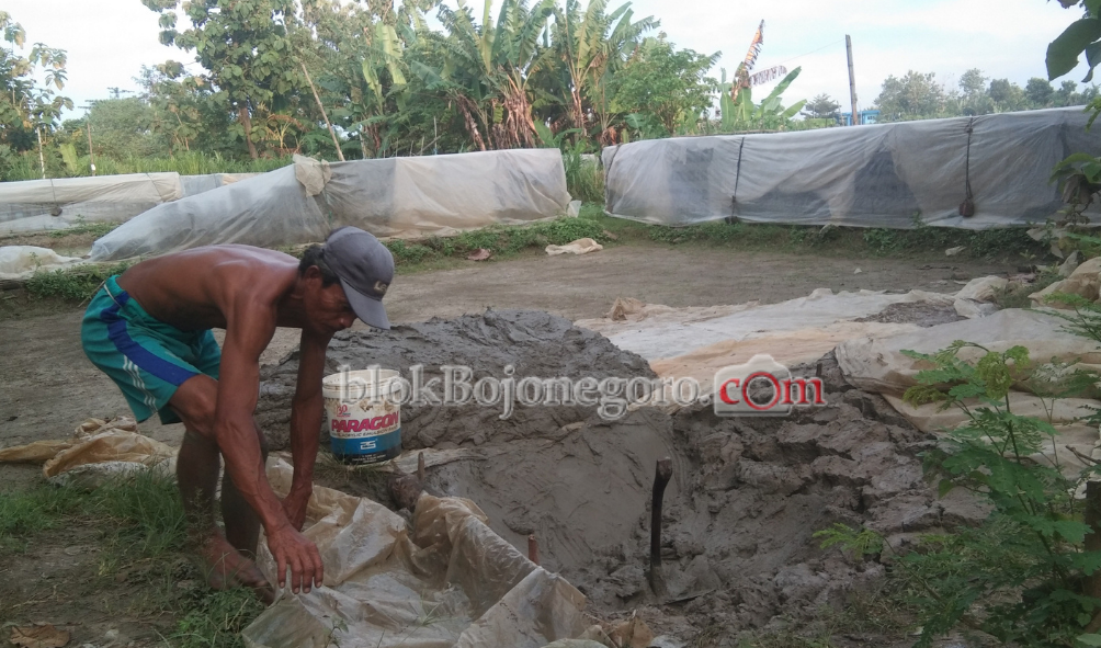 Menengok Aktivitas Produsen Bata Merah di Bantaran Bengawan Solo