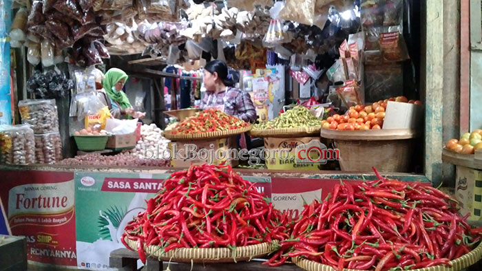 Harga Cabai Rawit Semakin Meroket, Tembus Rp95.000 Perkilogram