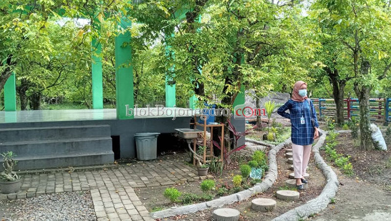 Pengunjung Agrowisata Belimbing Turun 50 Persen Saat Pandemi