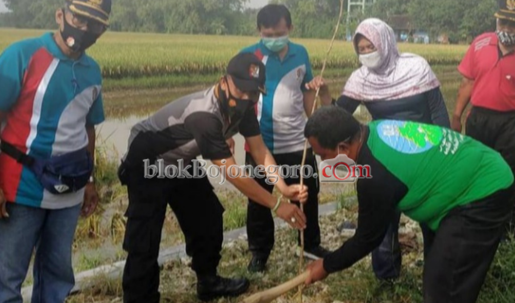 Lestarikan Lingkungan DLH dan Muspika Tanam Ratusan Pohon