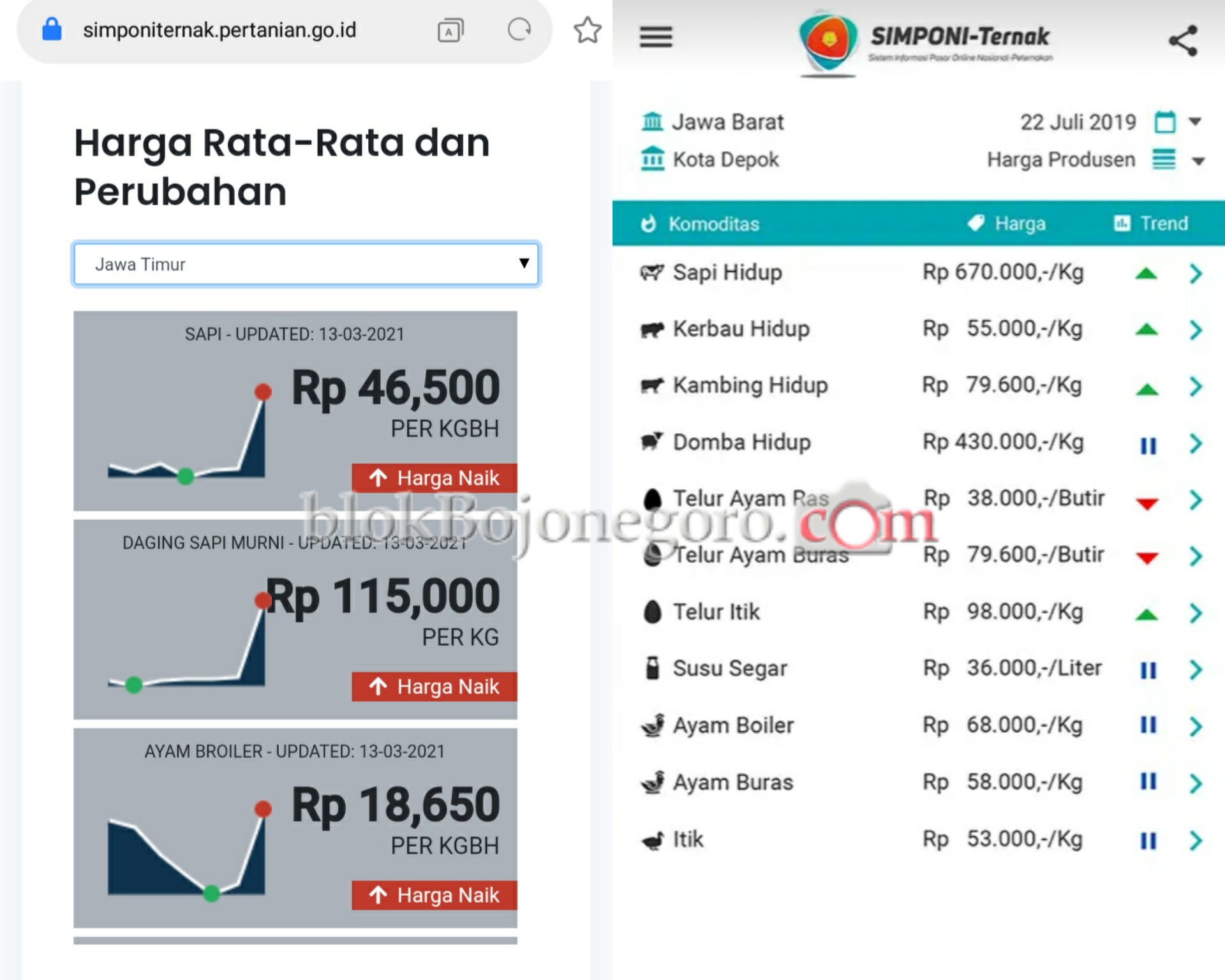 Disnakan Bojonegoro Kembangkan Aplikasi Simponi Ternak