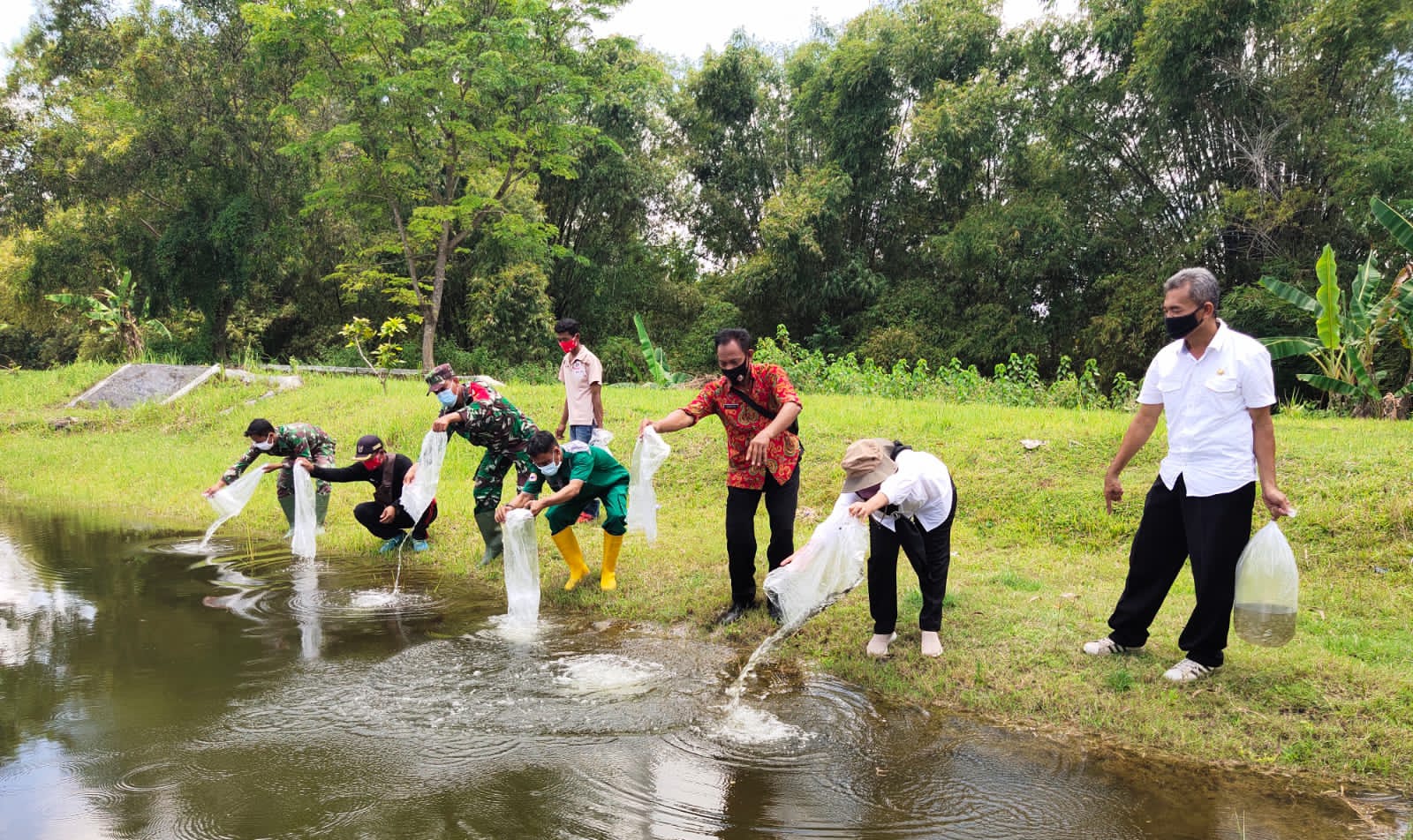 Begini Format Pengajuan Proposal Bantuan Benih Ikan Disnakkan