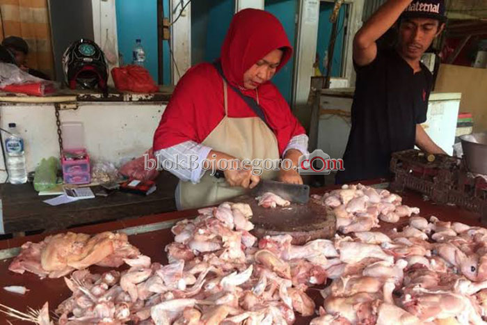 Harga Daging Ayam Kini Merangkak Naik di Pasaran