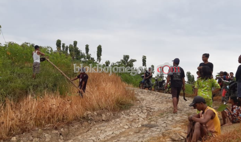 Dengan Semangat Gotong Royong, Pemuda Gondang Perbaiki PJU