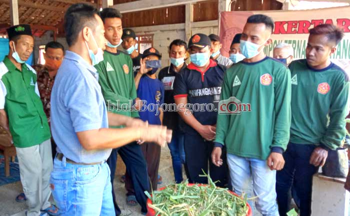 Gp Ansor Sekar Adakan Pelatihan Ternak Bersama Disperta