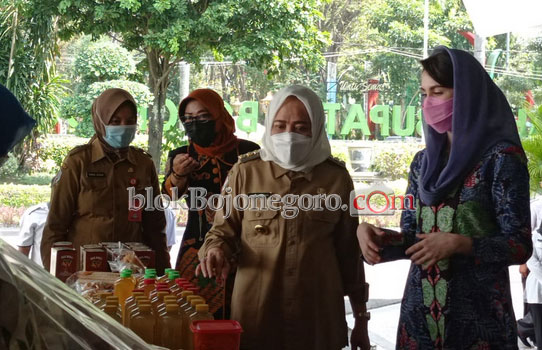 Arumi Bachsin Sebut Bunga Krisan Sebagai Potensi Menarik di Bojonegoro