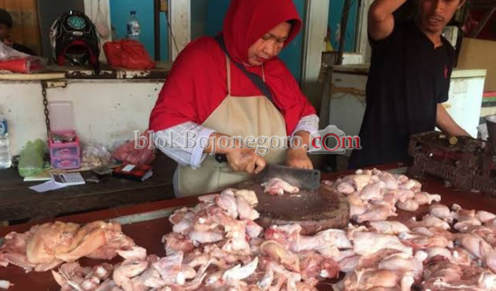 Sempat Naik, Harga Daging Ayam Kini Turun