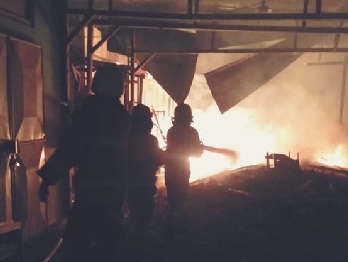 Kebakaran Dini Hari Hanguskan Industri dan Olahan Kayu di Sukorejo