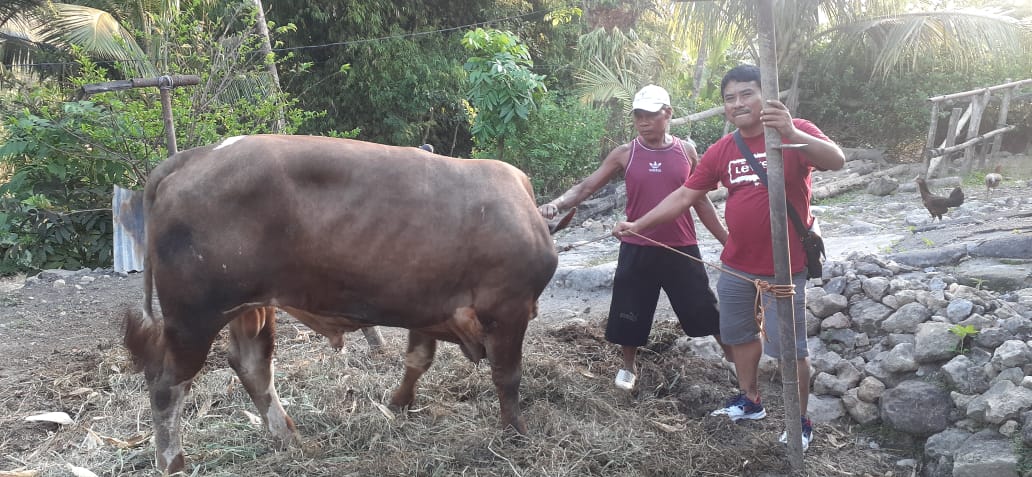 Peduli Sesama, Field Cepu Serahkan Bantuan Hewan Kurban di 3 Wilayah