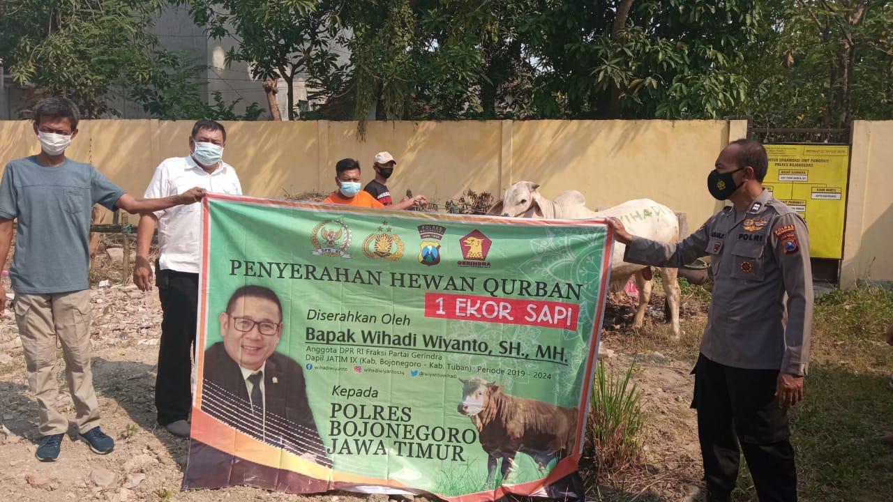 Jelang Kurban, Wihadi Wiyanto Serahkan Sapi di Bojonegoro - Tuban