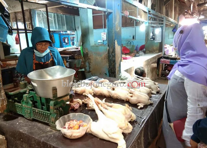 Harga Daging Ayam Turun Rp3.000