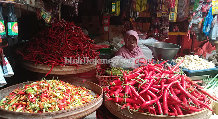 Harga Cabai Rawit Sempat Naik, Kini Turun Kembali