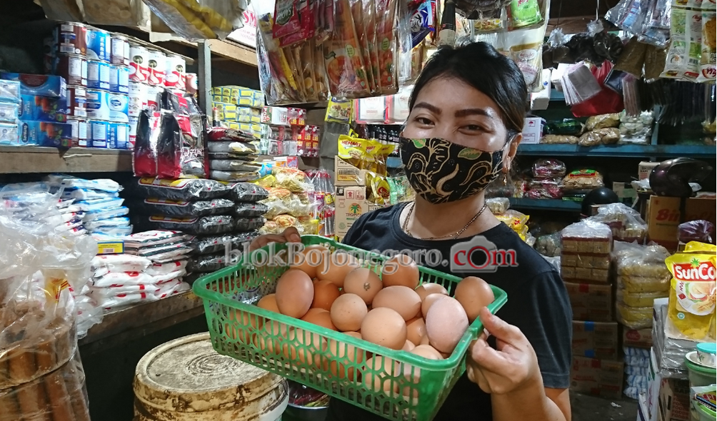 Anjlok, Harga Telur Ayam Capai Rp15 Ribu Per Kilogram