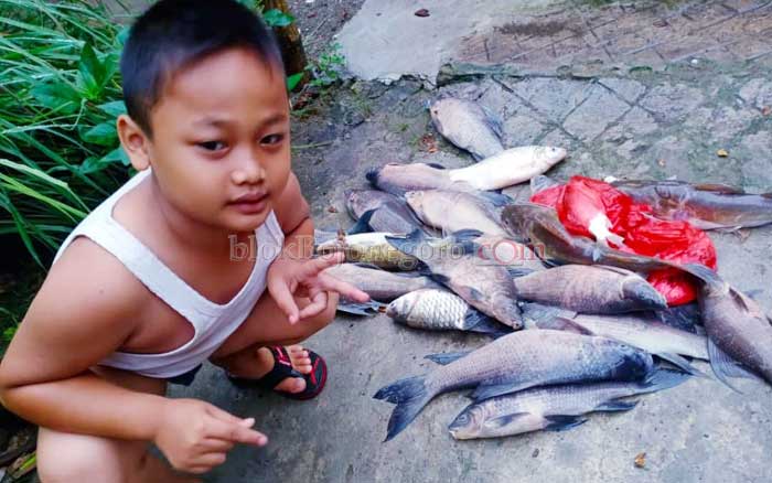 Pladu Ikan Bengawan Solo dan Ritual 1 Tahun Sekali