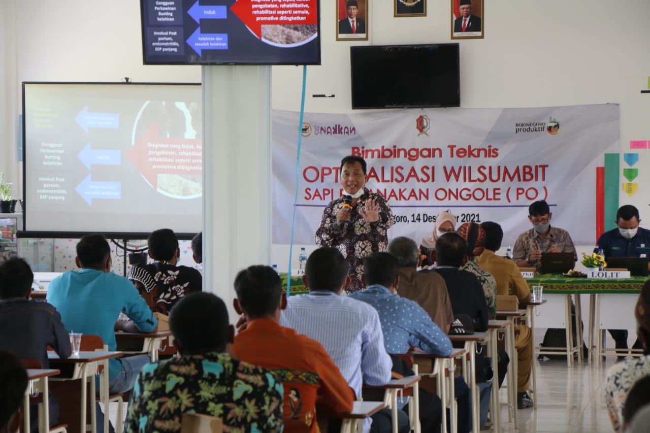 Bupati Bojonegoro Buka Bimtek Optimalisasi Wilsumbit Sapi Peranakan