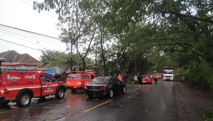 Puting Beliung, Pohon Bertumbangan di Kedungbondo, Sebabkan Kemacetan