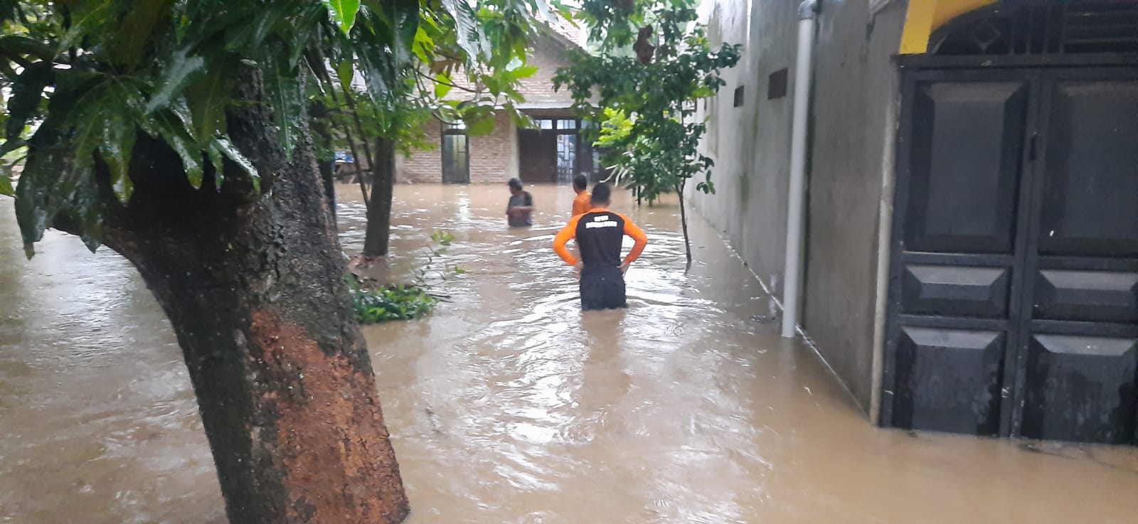 Hujan Deras, Desa Dander Terendam Banjir
