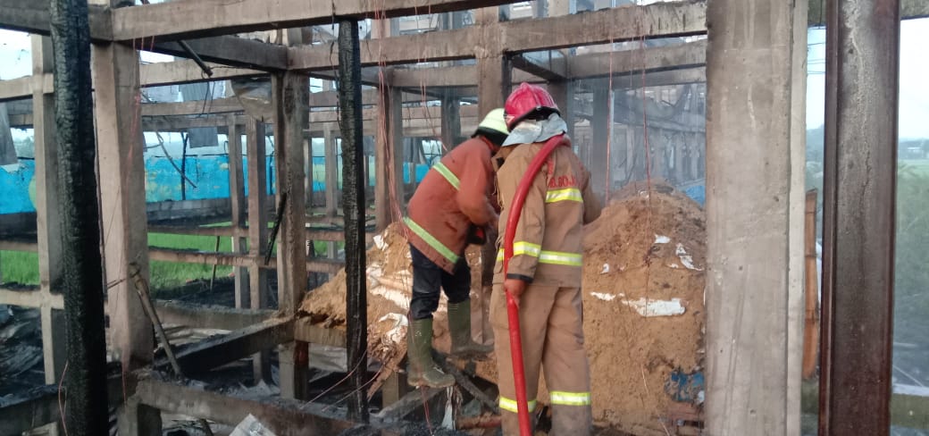Kandang di Pasinan Terbakar,  21.800 Ayam dan 160 Karung Pakan Dilalap Jago Merah