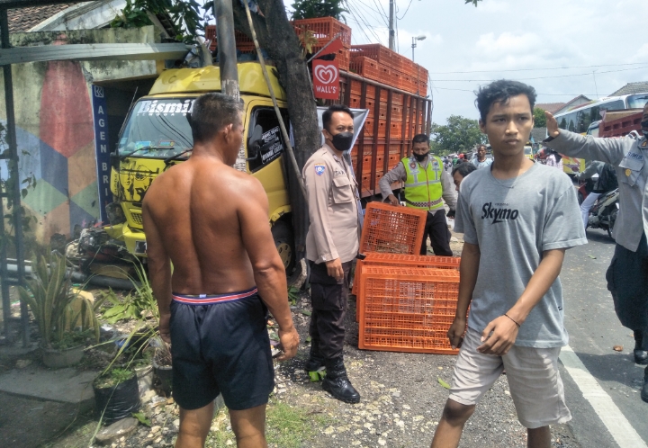Kecelakaan Tunggal, Truk Muatan Ayam Hantam Pohon