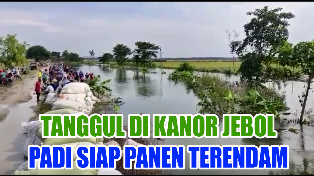 Video Tanggul Sungai di Kanor Jebol