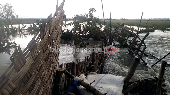 Tanah Samping Kali Avour Longsor, Ratusan Hektar Sawah Terendam