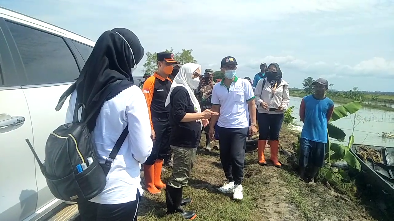 Tinjau Lokasi Jebolnya Tanggul Kali Avur, Bupati Minta Segera Dinormalisasi