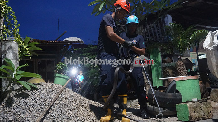 Damkar Bojonegoro Mendapat 34 Laporan Adanya Ular, Selama Bulan Januari