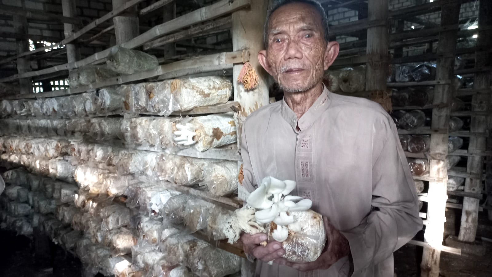 Tingkatkan Perekonomian Petani Jamur, Pemdes Klampok Berinsiatif Lebarkan Sayap Usaha