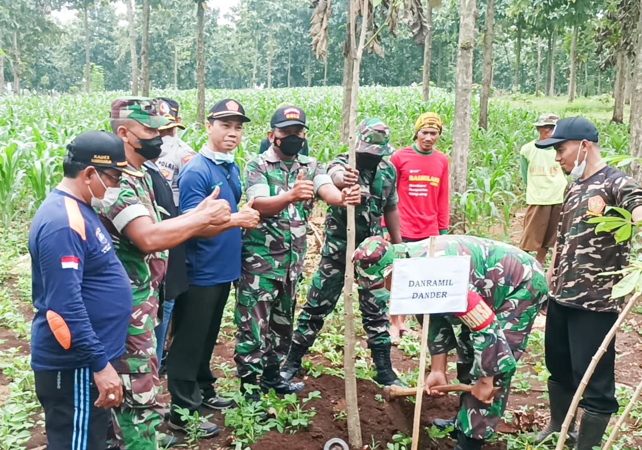 Sukseskan Program Pemerintah, TNI dan Forkopimcam Dander Tanam Ratusan Pohon