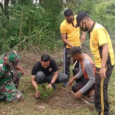 Tanam Pohon Sawo dan Jeruk di Kawengan
