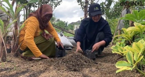 Inspiratif Bank Sampah Kedungdowo Olah Sekam Jadi Arang